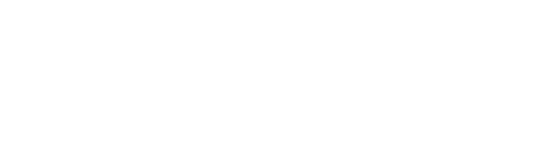 ANT BYTE